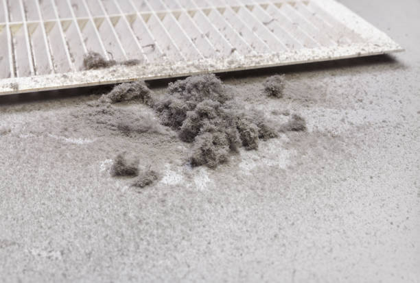Best Dryer Vent Cleaning Services  in Mexico, IN