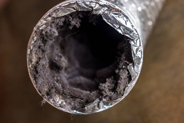 Best Emergency Air Duct Cleaning  in Mexico, IN