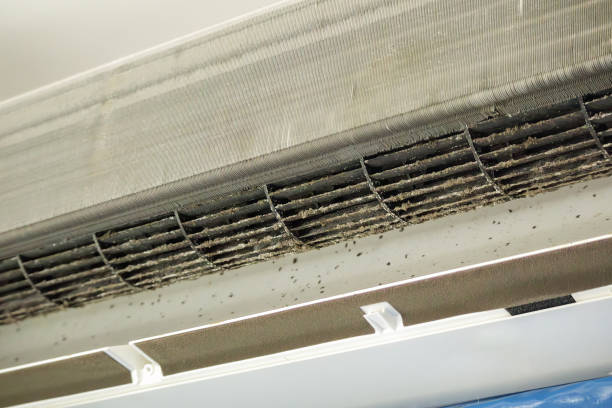 Best Ductwork Cleaning Services  in Mexico, IN