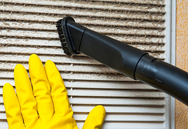 Best Home Air Vent Cleaning  in Mexico, IN